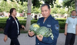 大叔 吃瓜 吃瓜,揭秘娱乐圈幕后风云