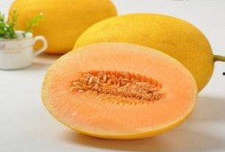 拉肚子吃哈密瓜,哈密瓜来助消化