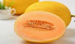 拉肚子吃哈密瓜,哈密瓜来助消化