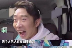 咋吃明星的瓜,咋吃明星的瓜，带你一探究竟