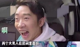 咋吃明星的瓜,咋吃明星的瓜，带你一探究竟