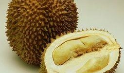 孕妇可以吃小麦瓜么,小麦瓜的安全性解析