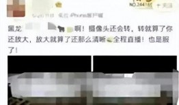 黑龙江教室门吃瓜
