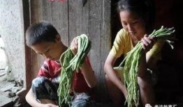 吃瓜河北姐弟视频