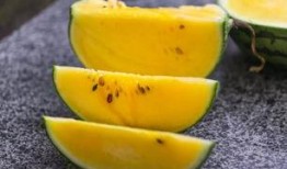 九小时吃瓜,揭秘娱乐圈幕后故事