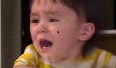 本特利吃瓜表情包