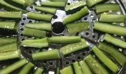 直播吃瓜炒菜视频,吃瓜炒菜，趣味烹饪一网打尽