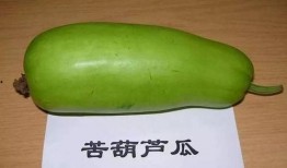 瓜有苦味可以吃吗