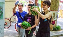 学校吃瓜资源,揭秘校园美食背后的故事