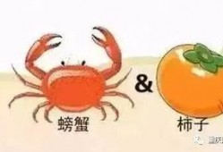 螃蟹吃不吃瓜