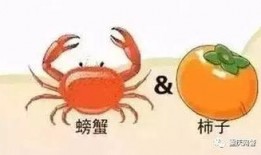 螃蟹吃不吃瓜