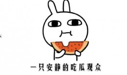 吃瓜吃瓜是什么意思,揭秘“吃瓜群众”背后的网络文化现象