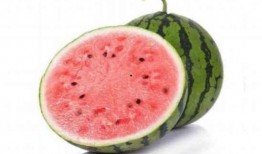 天天吃麒麟瓜,健康生活每一天