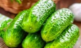 吃老瓜美不美颜,探寻美味与颜值的双重诱惑