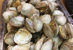 射阳吃瓜视频,揭秘当地特色美食与风土人情