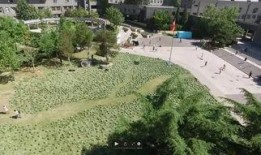 滨州学院吃瓜事件