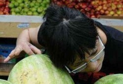 捧瓜如何吃,捧瓜的多样食法探索