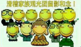 带你吃瓜便当表情包,揭秘网络表情包背后的趣味与情感