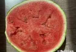 科普up吃瓜,揭秘科普UP主背后的“吃瓜”世界