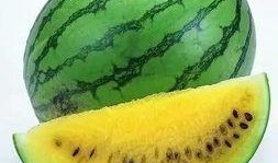 以色列贵族吃全瓜,全瓜盛宴背后的文化内涵