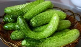 顺职院吃瓜,揭秘校园风云背后的真相