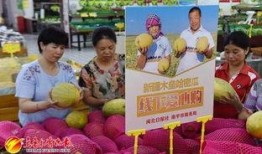 南平吃瓜,揭秘当地特色美食背后的故事