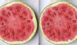 ppt吃瓜谁发明的,是谁发明了这个网络流行语？”