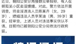 不忘吃瓜小说免费阅读,不忘吃瓜小说免费阅读之旅