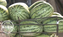 13年吃瓜,揭秘那些年被热议的幕后真相