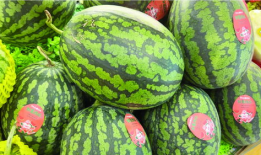 吃瓜4k,带你领略高清视觉盛宴