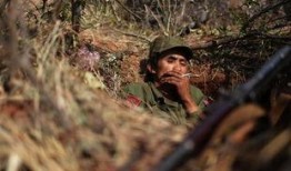 果敢吃瓜大结局,揭秘娱乐圈背后的真相与结局