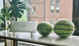吃西瓜和哈密瓜咳嗽,夏日解暑佳果变“催咳剂”？西瓜与哈密瓜的咳嗽之谜