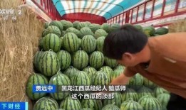 peanut吃瓜,揭秘娱乐圈的甜蜜与苦涩