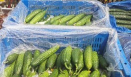 韩国老爸吃蜜瓜视频,甜蜜瞬间引发网友热议