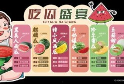 设计意图 瓜瓜吃瓜,探寻设计意图中的趣味与智慧