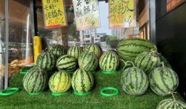 天天吃麒麟瓜,健康生活每一天