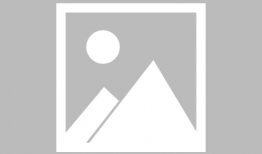 吃瓜的我小说,揭秘吃瓜的我小说背后的故事