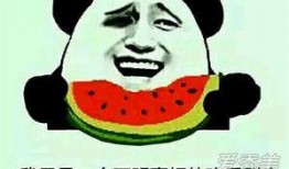 吃瓜网友啥意思