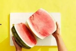 怎么优雅吃瓜视频,跟着视频一起畅享瓜界盛宴