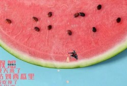 单身的吃瓜群众,揭秘娱乐圈那些不为人知的幕后故事