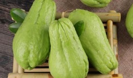 吃的佛手瓜和观赏佛手瓜,佛手瓜的美食与观赏双重魅力