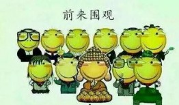 吃瓜群众五人,揭秘娱乐圈幕后风云