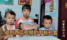 吃瓜河北姐弟视频