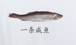 吃瓜咸鱼王,网络红人的崛起之路