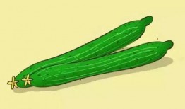 宝宝吃淡水瓜好吗怎么吃,宝宝吃淡水瓜的益处与正确食用方法