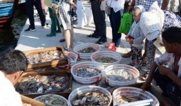 莱州天和苑吃瓜,一场别开生面的“吃瓜”盛宴