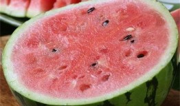 吃麒麟瓜的感受,舌尖上的甜蜜邂逅