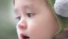 本特利吃瓜表情包