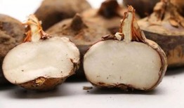 马蹄子吃瓜,一场别开生面的夏日盛宴