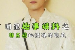 职业吃瓜君,揭秘娱乐圈幕后真相的神秘推手